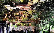 記事「新緑の庭園を包む光景　楽山苑ライトアップ」の画像