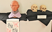 記事「初公開！南北朝時代の頭骨から顔を復元」の画像