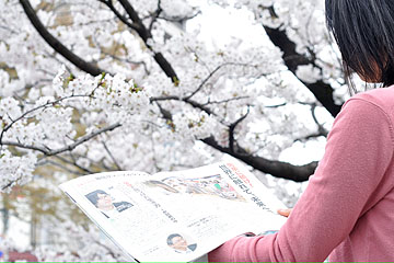 「市政だより５月号」の画像