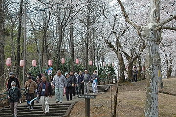 「観光ボランティアガイドの説明を聞きながら」の画像