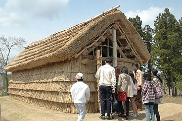 「約５千年前の姿そのままの竪穴住居」の画像