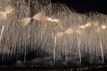 「復興祈願花火フェニックス」の画像