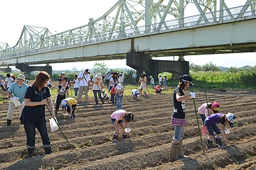 「二人一組で菜の花の種まき」の画像