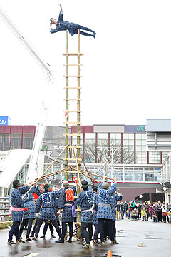 「「若鳶会」による伝統のはしご乗り」の画像