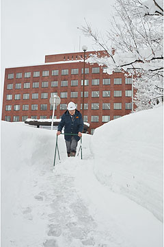 「市役所本庁舎周辺の積雪は106cmとなりました」の画像