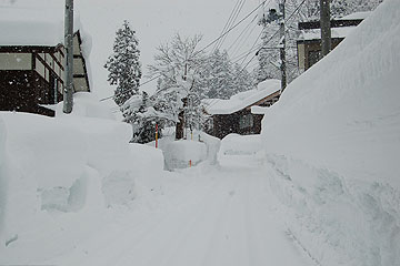 「山古志地域の種苧原では積雪が３ｍ10cmに」の画像