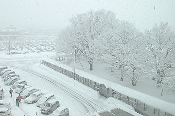 「市役所４階からの雪景色」の画像