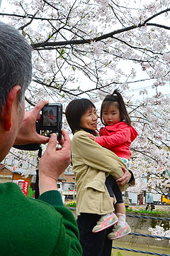 「桜と一緒に記念撮影する人も」の画像