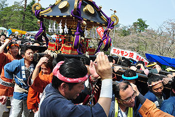 「担ぎ手たちの威勢のいい掛け声が響く神輿渡御」の画像