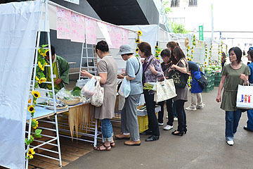 「「野菜マルシェ」５店が軒を連ねました」の画像