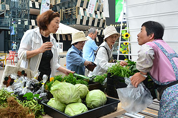 「料理方法を質問」の画像