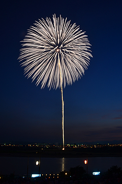 「白菊２発を打ち上げ」の画像