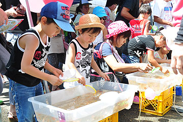 「おまつり広場の金魚すくい」の画像