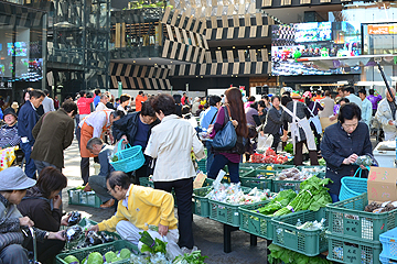 「朝採り新鮮野菜などの販売コーナー」の画像