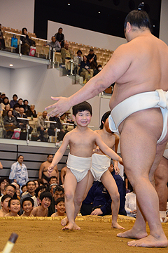 「ちびっこ相撲では幕内力士と取り組み」の画像