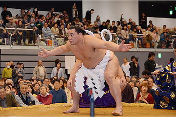 「横綱・日馬富士関の土俵入り」の画像