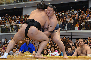 「結びの一番、横綱・白鵬対日馬富士」の画像