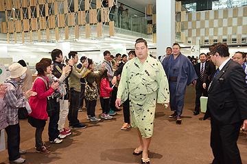 「大勢のファンが横綱をお出迎え」の画像