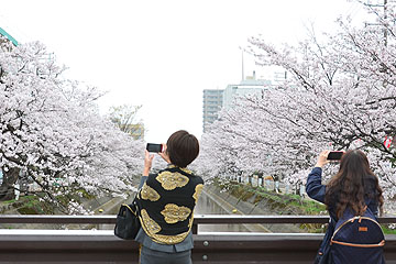 「多くの人がきれいな景色を写真に収めていました」の画像