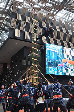 「長岡鳶工業協同組合による梯子乗り」の画像