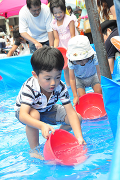 「錦鯉稚魚をつかまえるコーナー」の画像