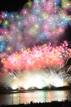 「夜空に花が咲いたようです」の画像