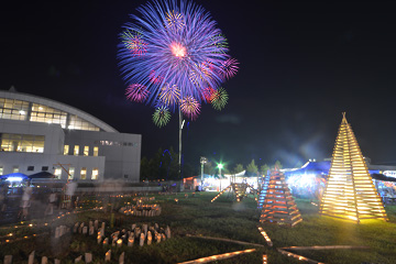 「色とりどりの花火が打ち上がりました」の画像