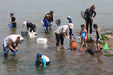 「生き物たちを捕まえました」の画像