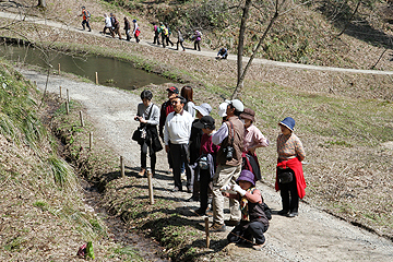 「一斉に咲き始めた小さな山野草を観賞」の画像