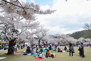 「心地よい陽気に誘われ約9,000人が来場」の画像