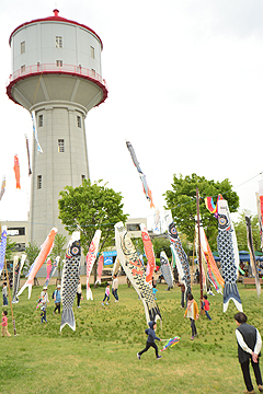 「200匹のこいのぼりがお出迎え」の画像