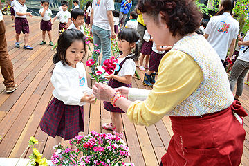 「東光幼稚園の園児80人がいけばな体験に挑戦」の画像