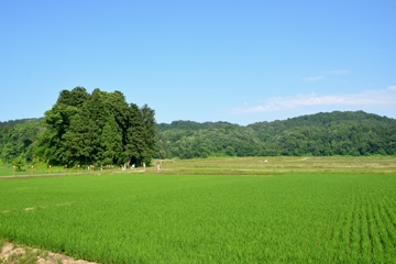 「牛の首地区で撮影を行いました」の画像