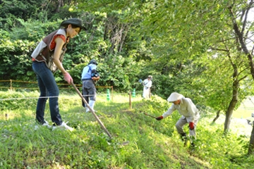 「ホタルの観賞地となる会場の草刈りをしました」の画像