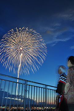 「友好と平和の絆の金色の花火の打ち上げ」の画像