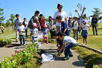 「公園内で虫捕り」の画像