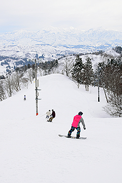 「雪質がいいのが特徴です」の画像