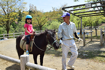 「ポニーの乗馬体験」の画像