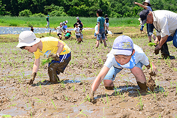 「あっという間に約１反の田んぼの作業が終了」の画像