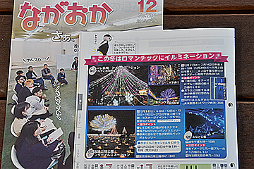 「まちのイルミネーションが輝く季節です」の画像