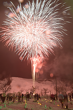 「色とりどりの花火が冬の夜空を彩りました」の画像