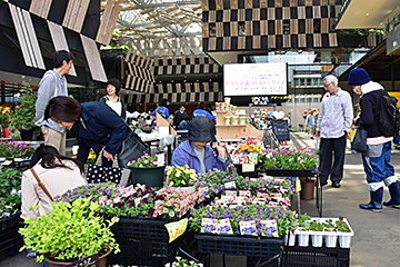 「季節の花と春の味覚を求めて多くの人が訪れました」の画像