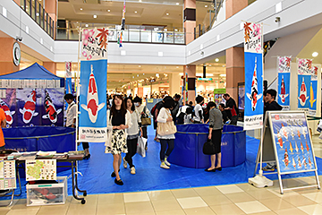 「長岡市錦鯉養殖組合青年部がＰＲイベントを行いました」の画像