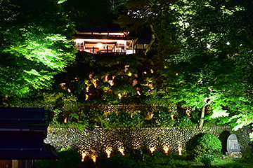 「よいた楽山苑ライトアップ」の画像