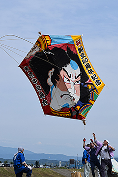 「今町・中之島大凧合戦を開催」の画像
