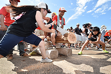 「女性の部の決勝戦で使われる丸太は直径30cm」の画像