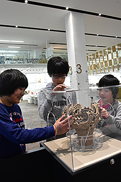 「火焔土器の触れるレプリカをアオーレ長岡で展示」の画像