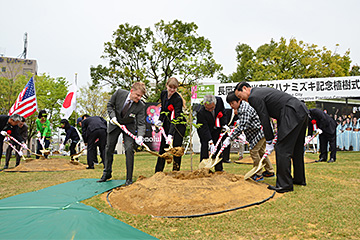 「ハナミズキを通じた平和学習」の画像