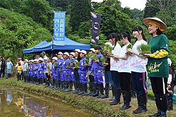 「「小林幸子田」で田植えをしました」の画像