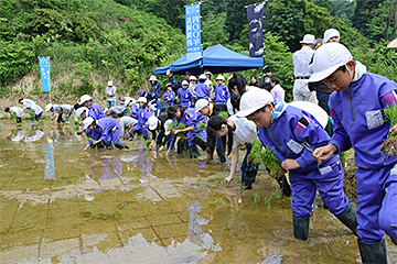 「稲作体験を通した交流は平成18年から続いています」の画像